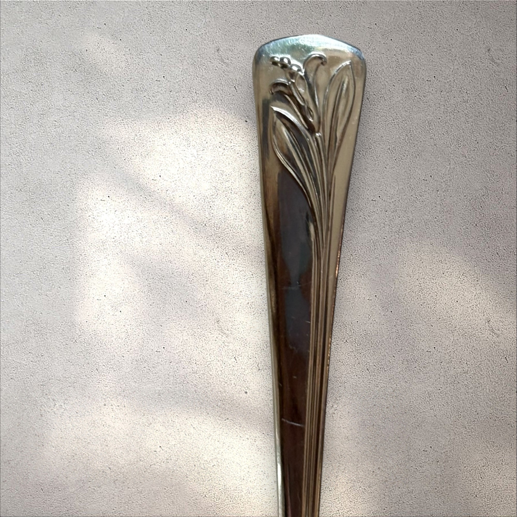 Tulip
