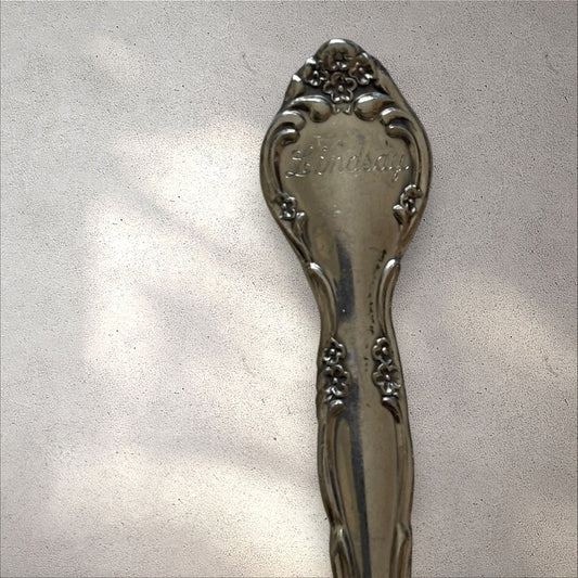 Lindsay spoon
